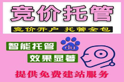 从小白到高手：百度竞价赚钱全记录